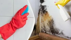 La muffa nera sparirà sotto i tuoi occhi: il trucco che gli addetti alle pulizie non ti dicono