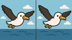 Rompicapo: trova 3 differenze nell’immagine di un uccello in volo in 31 secondi