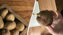 Le patate non germoglieranno né si raggrinziranno per sei mesi: ecco come conservarle correttamente